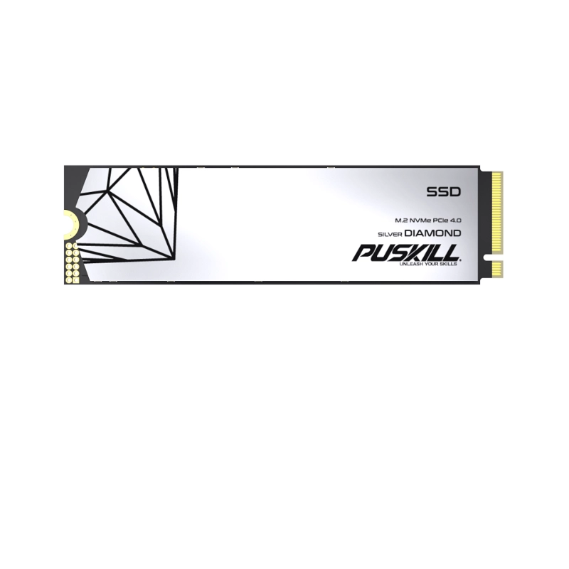 high performance NVMe SSD