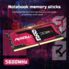 Low Voltage DDR5 SODIMM Memory