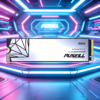 puskill ultra fast read write m.2 nvme ssd reliable flash storage drive for system installation and large file storage (复制)