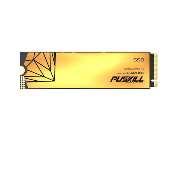 fast read NVMe SSD
